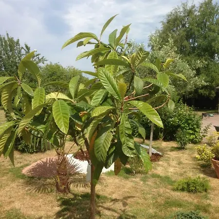 Les Du Gr224 Ferienhaus